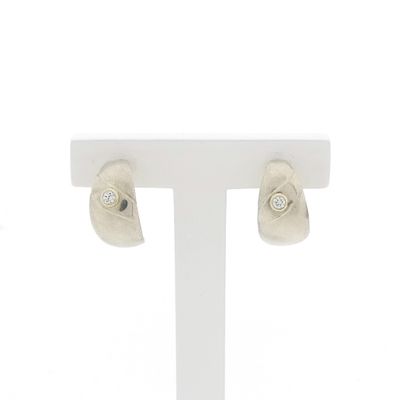 Image 1 of Silver fantasy earrings