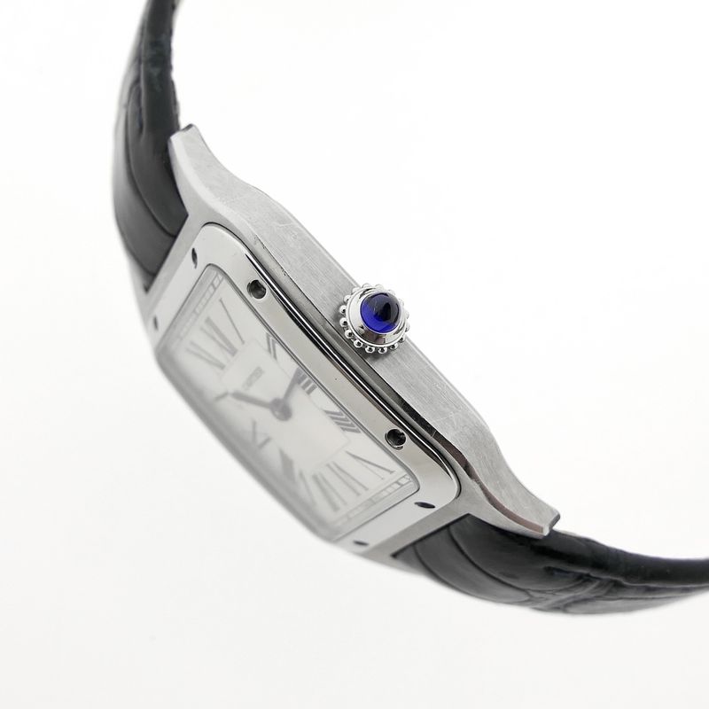 Image 12 of Cartier Santos Dumont WSSA0022; Men's watch