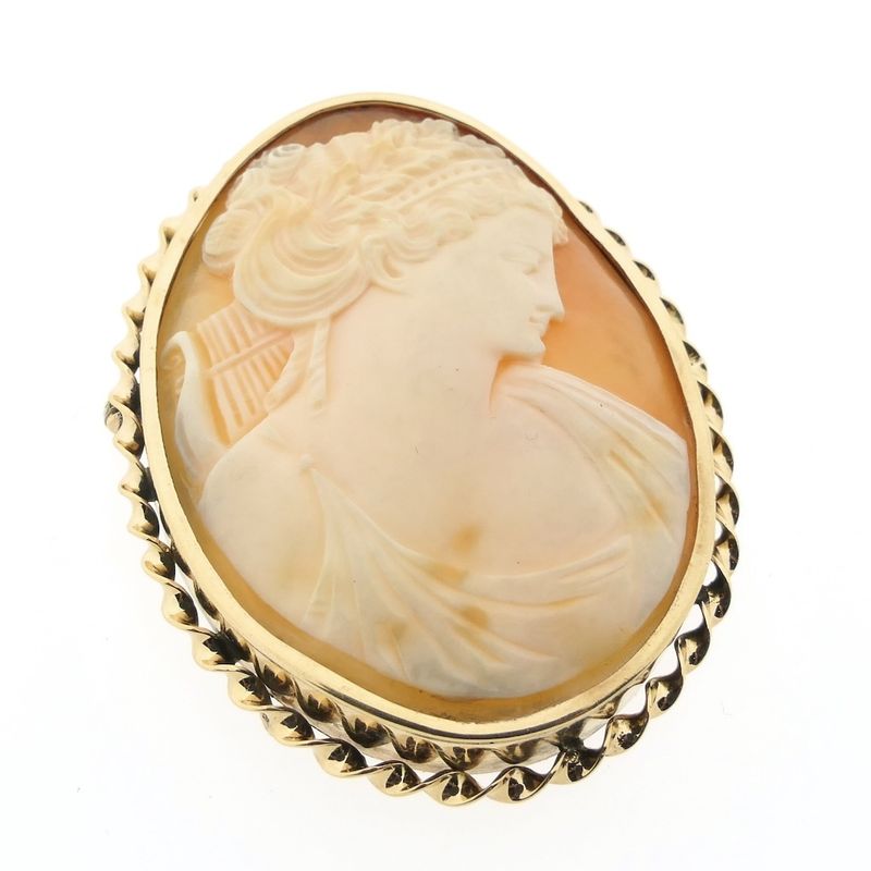 Image 6 of 8 carat brooch with cameo
