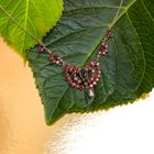 Image 2 of Vintage gold necklace with garnet
