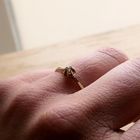 Image 7 of Gold Solitaire Ring with Diamond; 0.01 ct.