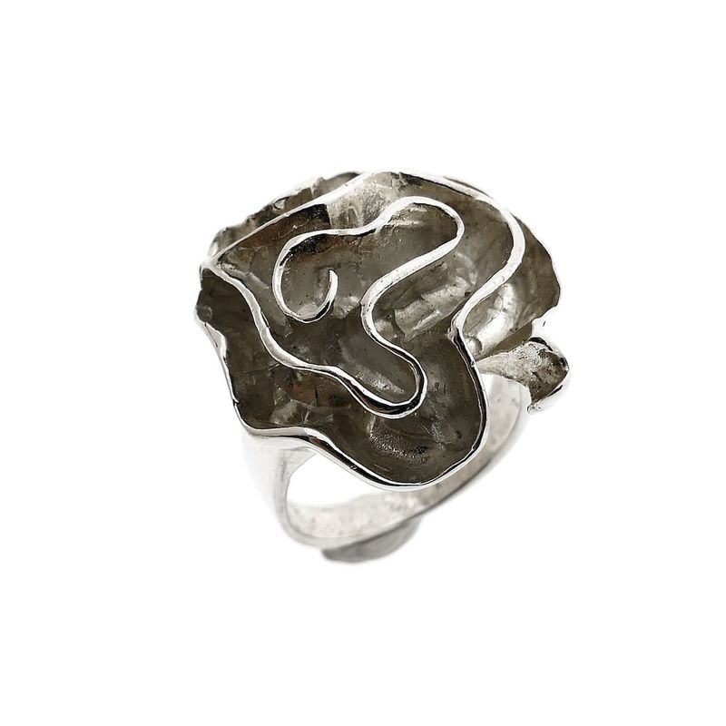 Image 1 of Silver ring with organic design