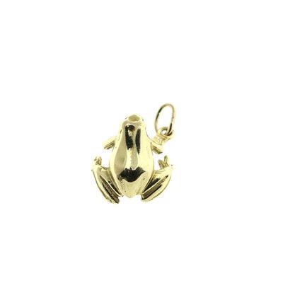 Image 1 of Golden frog pendant.