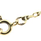 Image 5 of Gold Anchor Chain Necklace; 14 Karat; 65 cm