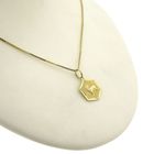 Image 8 of Golden Leo zodiac sign pendant.