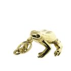 Image 7 of Golden frog pendant.