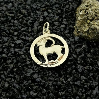 Image 2 of Golden zodiac sign pendant Capricorn
