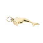 Image 5 of Golden dolphin pendant