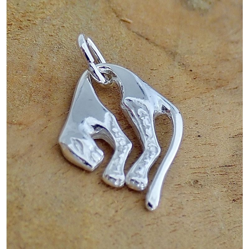 Image 2 of Silver charm; Panther 1