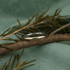 Image 2 of White gold sliding ring