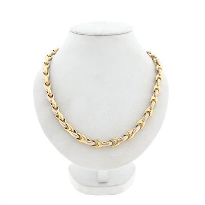Image 1 of Bicolor Gold Link Necklace