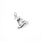 Image 2 of Silver charm; Panda bear