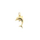 Image 1 of Golden dolphin pendant