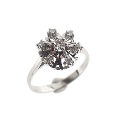 Image 1 of White gold entourage ring with diamond | 0.26 ct.