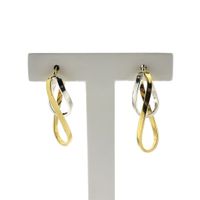 9Kt. Bicolor earrings