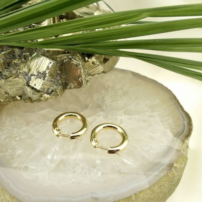 Image 2 of Gold earrings Ø 15.9 mm