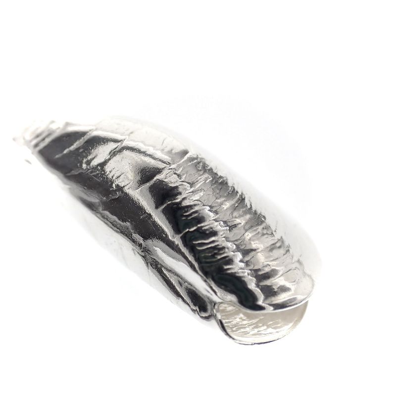Image 3 of Silver charm; Shell