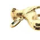Afbeelding 8 van Gouden hanger van een rottweiler