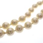 Image 4 of Vintage/antique pearl necklace with gold clasp | 46 cm