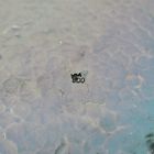 Image 7 of Vintage silver Djokja fruit bowl | Indonesian silverware