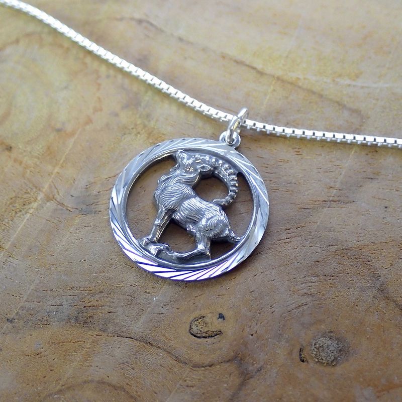 Image 6 of Silver zodiac sign pendant; Capricorn