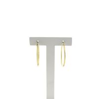 Gold earrings | Ø 29 mm
