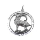 Image 2 of Silver zodiac sign pendant; Capricorn