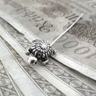 Image 2 of Silver brooch pin | Turtle