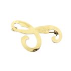 Image 8 of Gold letter brooch; letter S