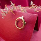 Image 2 of Golden ten guilder coin edge pendant/brooch