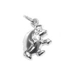 Image 1 of Silver charm; Hedgehog