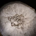 Image 2 of White gold Venetian chain | 40 cm