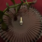 Image 2 of Two-tone gold minimalist pendant with diamond | 0.05 ct.