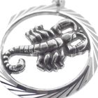 Image 2 of Silver zodiac sign pendant; Scorpio