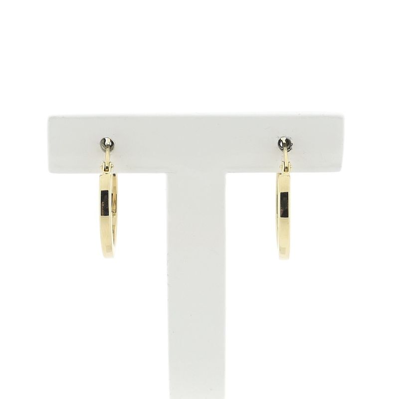 Image 1 of Golden earrings.