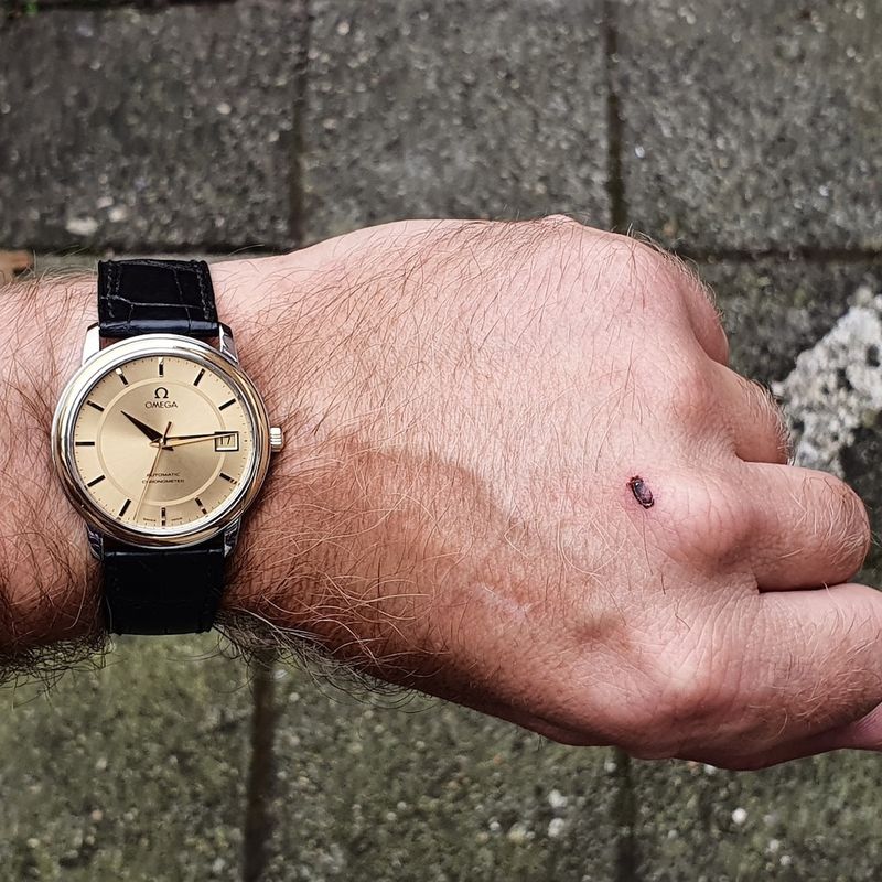 Image 11 of Omega DeVille Prestige; Automatic men's watch