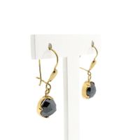 Gold Earrings with Hematite