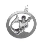 Image 4 of Silver zodiac sign pendant; Aquarius