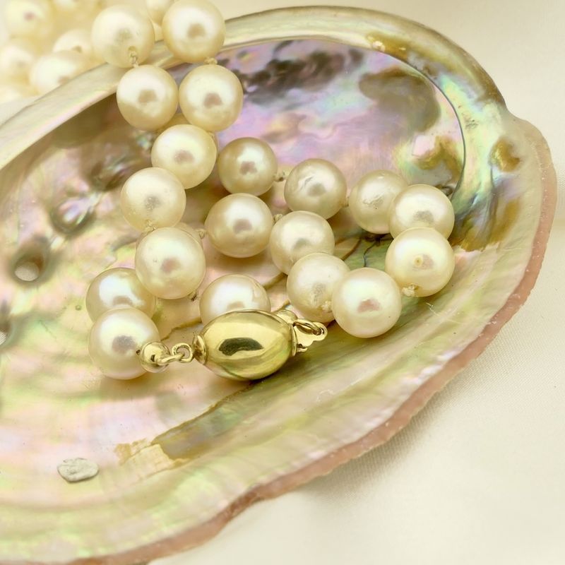 Image 2 of Pearl necklace with gold clasp | 41 cm
