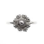 Image 1 of Silver ring with Zeeland button
