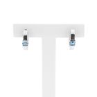 Image 1 of White Gold Earrings with Topaz; Ø 13.8 mm