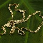 Image 2 of Gold flat gourmet link chain | 50.5 cm