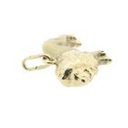 Image 8 of Gold pendant of a lion