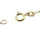 Image 5 of Gold Gourmet Link Necklace