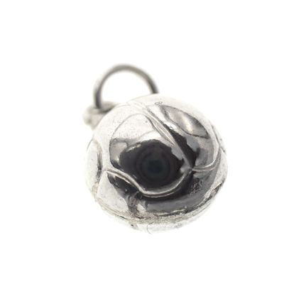 Image 2 of Silver charm; Volleyball