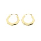 Image 7 of Gold lapidary earrings | Ø 20 mm