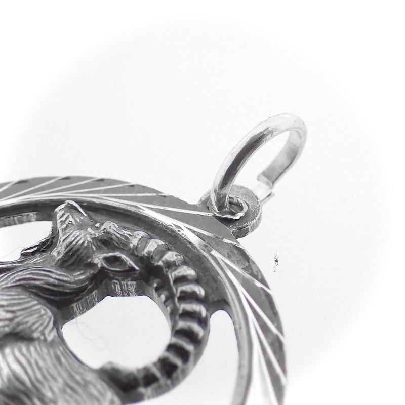 Image 4 of Silver zodiac sign pendant; Capricorn
