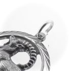 Image 4 of Silver zodiac sign pendant; Capricorn