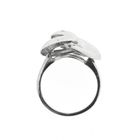 Image 5 of White gold ring; knotted