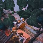 Image 2 of Silver ring with tiger's eye and citrine